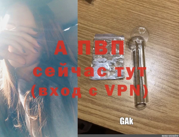 мяу мяу мука Горно-Алтайск