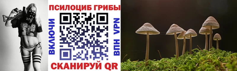 Галлюциногенные грибы MAGIC MUSHROOMS  Купить  Курчатов 